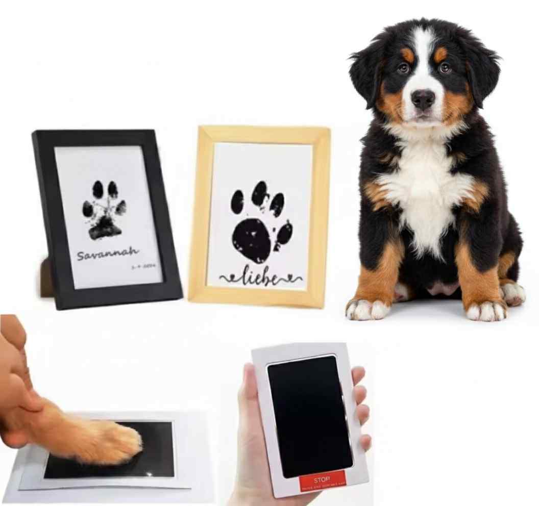 Recordação Eterna: Kit de Impressão de Patinha Sem Tinta + Moldura de Foto (Sem Sujidade)