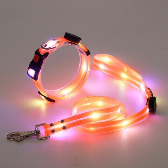 Trela iluminada para cães