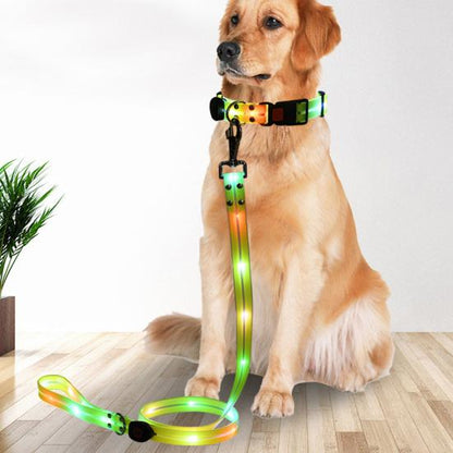 Trela iluminada para cães